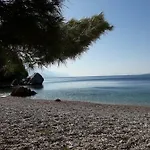Perlica *