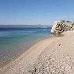 Perlica *