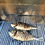 Perlica Σπίτι διακοπών